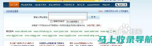 站长必备神器：站长之家查询工具全面解读